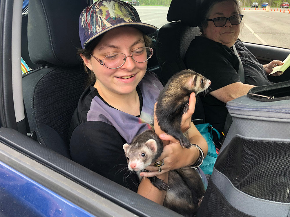 Ferrets Flash and Gordon with owners Jordan [left] and Susan [right] Fox wait for their vaccines.
